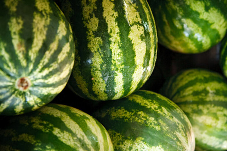 Watermelons_3