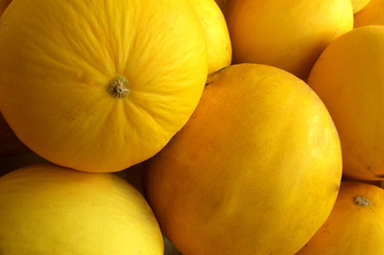 Melons jaunes_3