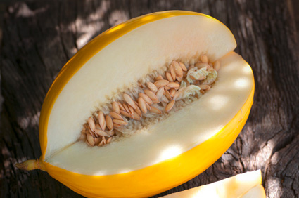 Honigmelonen