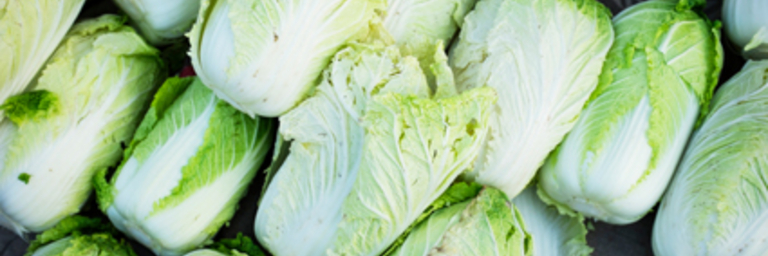 Chinese cabbage