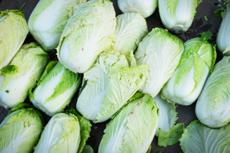 Chinese cabbage_1