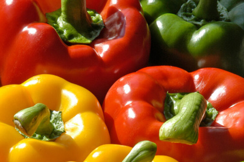 Peppers_3