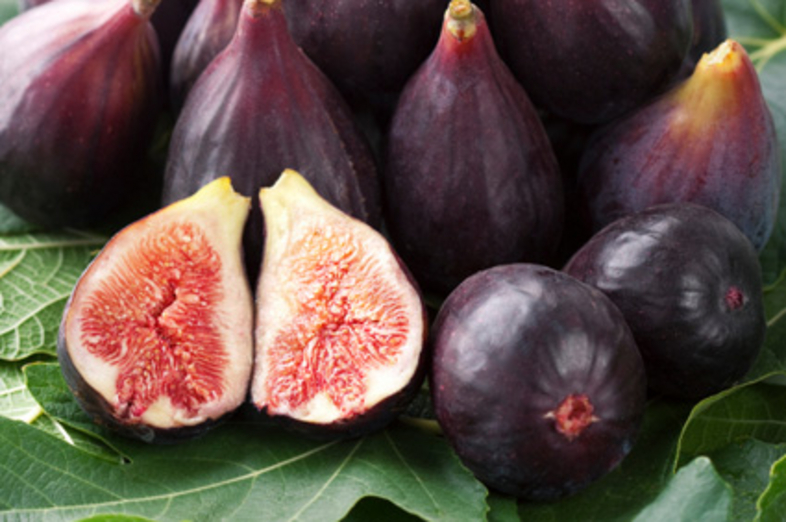 Figs_3