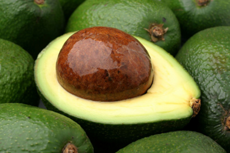 Avocado_1