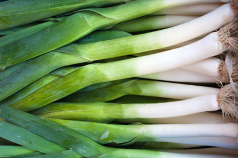 Leek_1