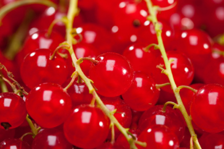 Currants_2