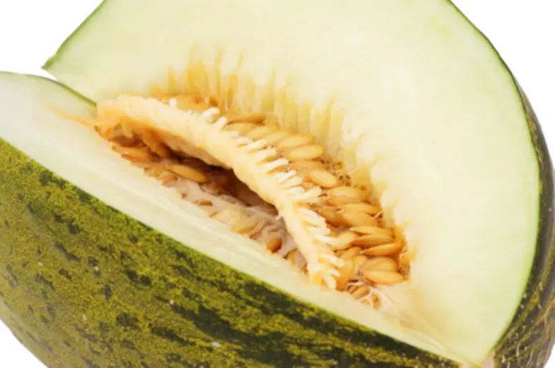 Melons verts_1