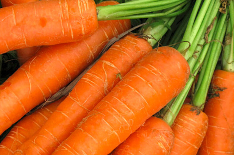 Carrots_3