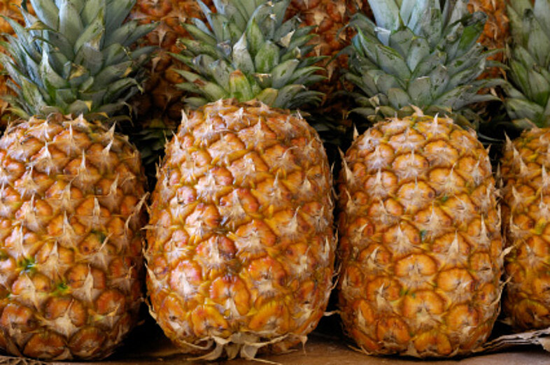 Pineapples_3