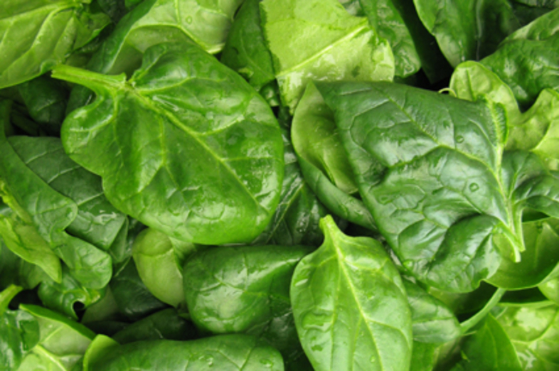 Spinach_1