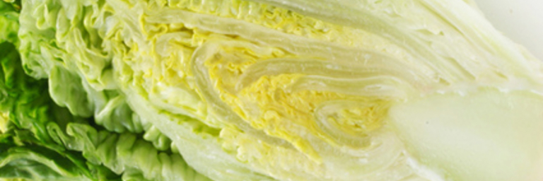 Romaine