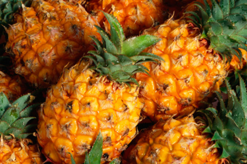 Pineapples_1