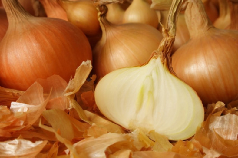 Onions_3