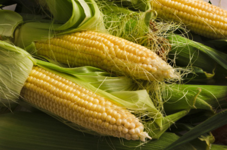 Sweet corn_1