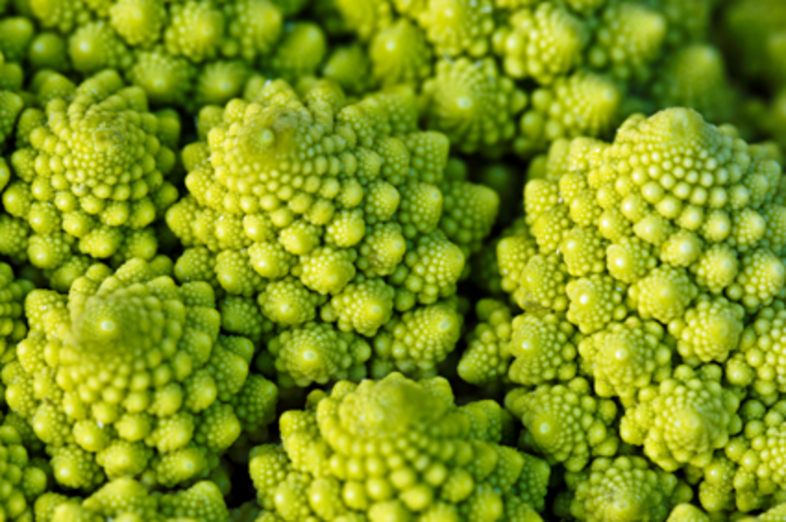 Romanesco_2