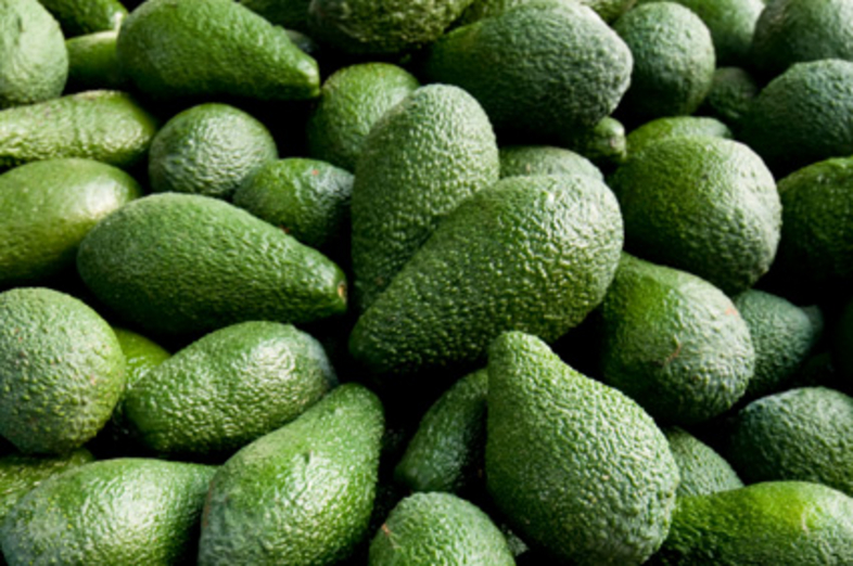 Avocados_3