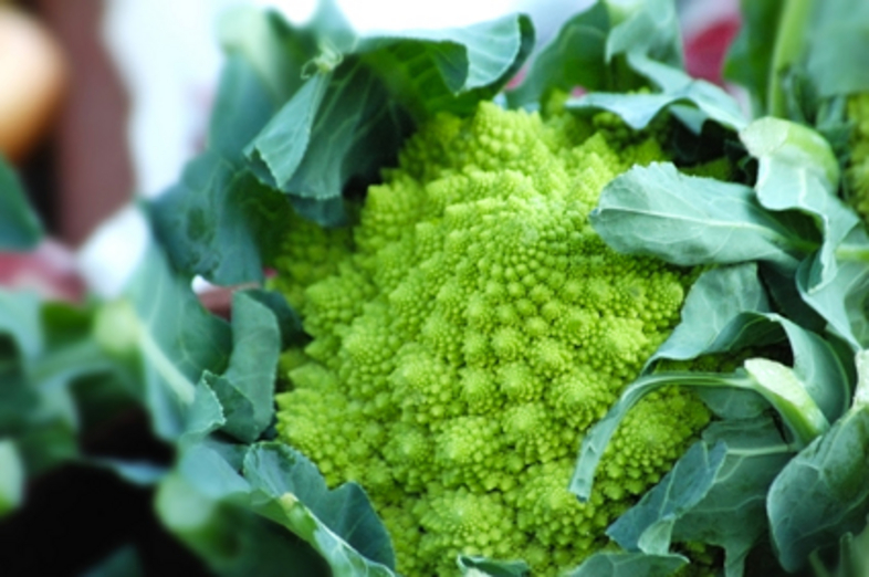 Romanesco_3