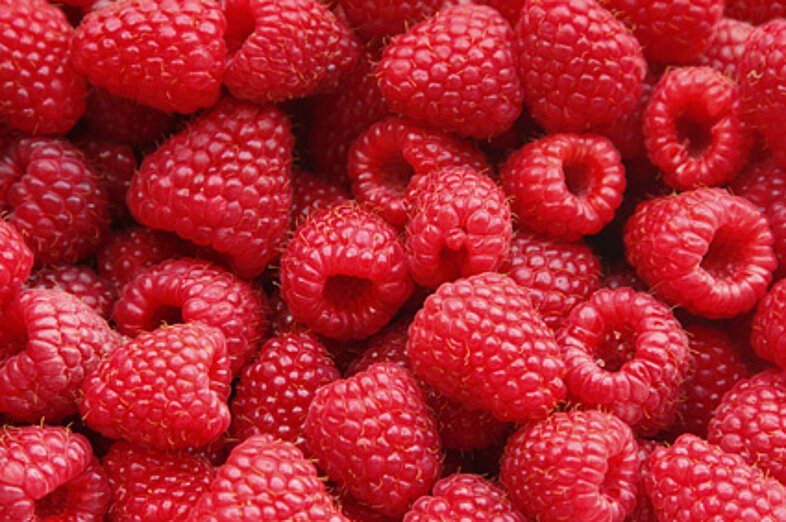 Raspberries_2