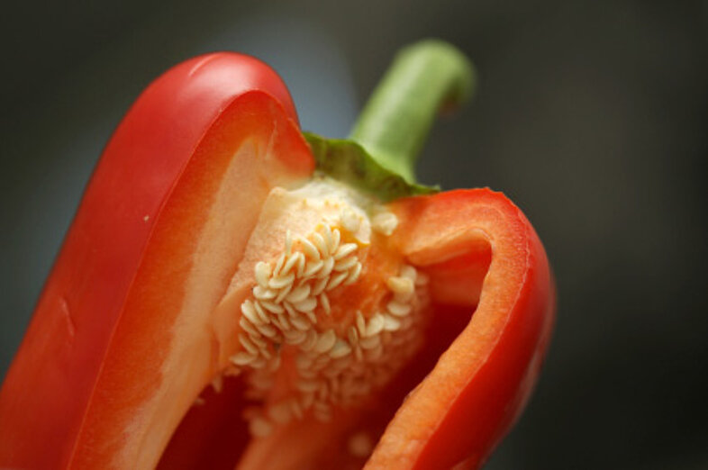 Peppers_1