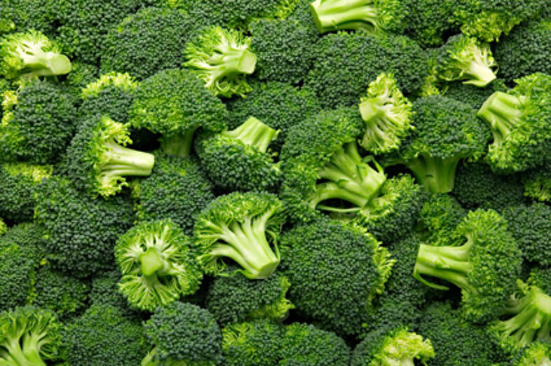 Broccoli_3