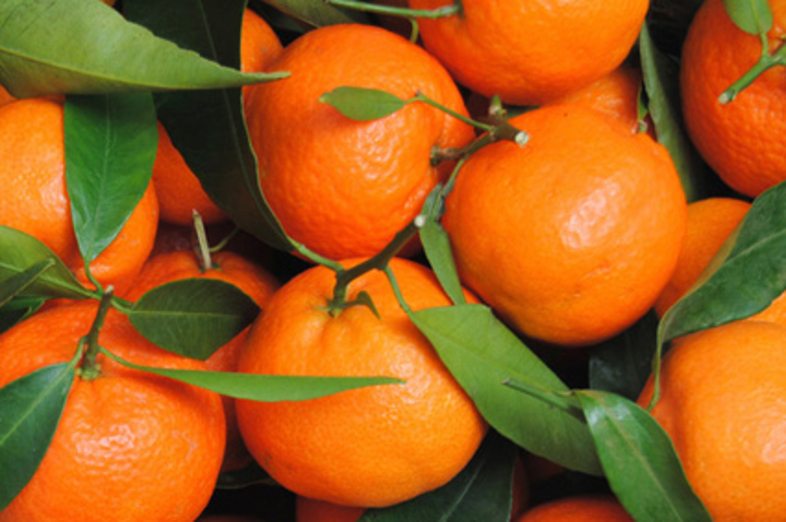 Mandarins_3