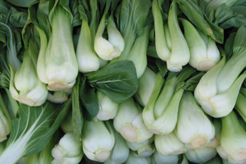 Pak Choi_1