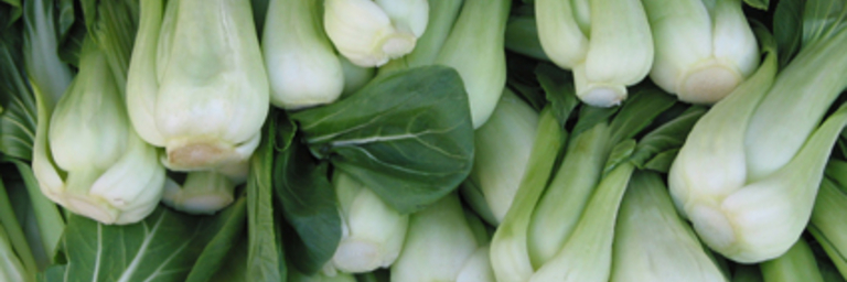 Pak Choi