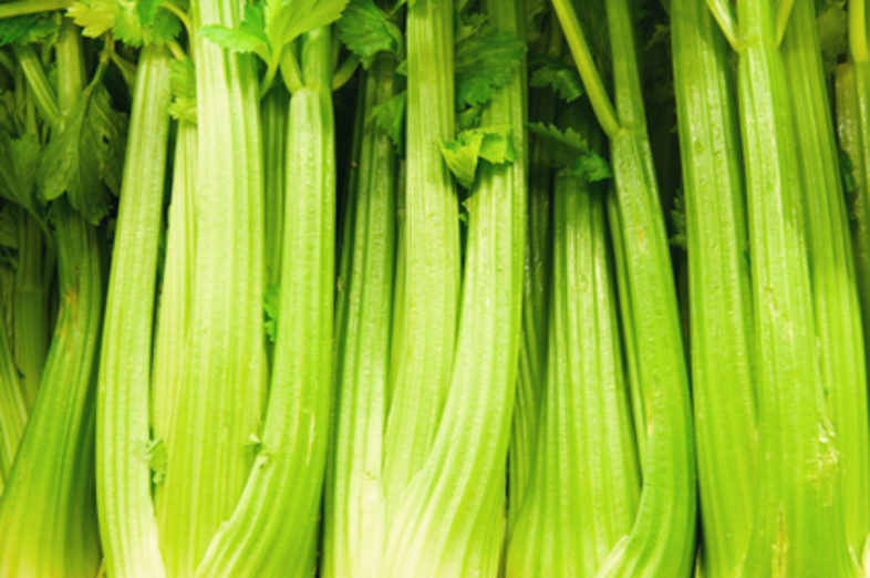 Celery_1