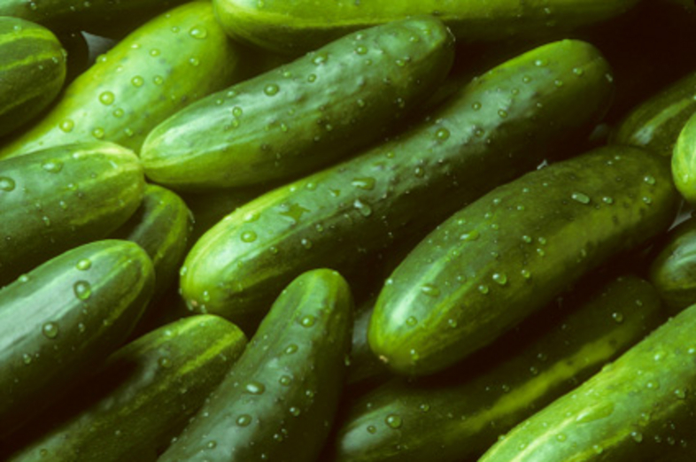 Cucumbers_3